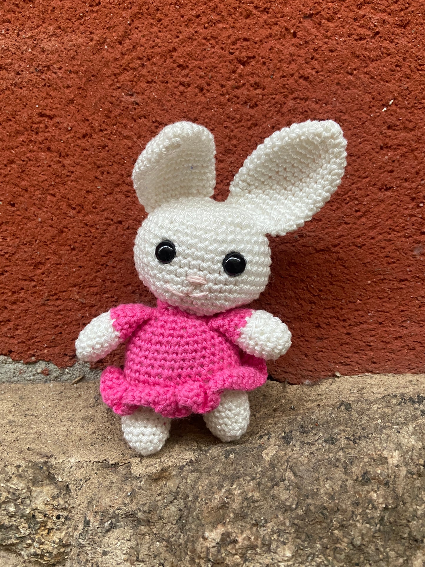 Jenny la liebre