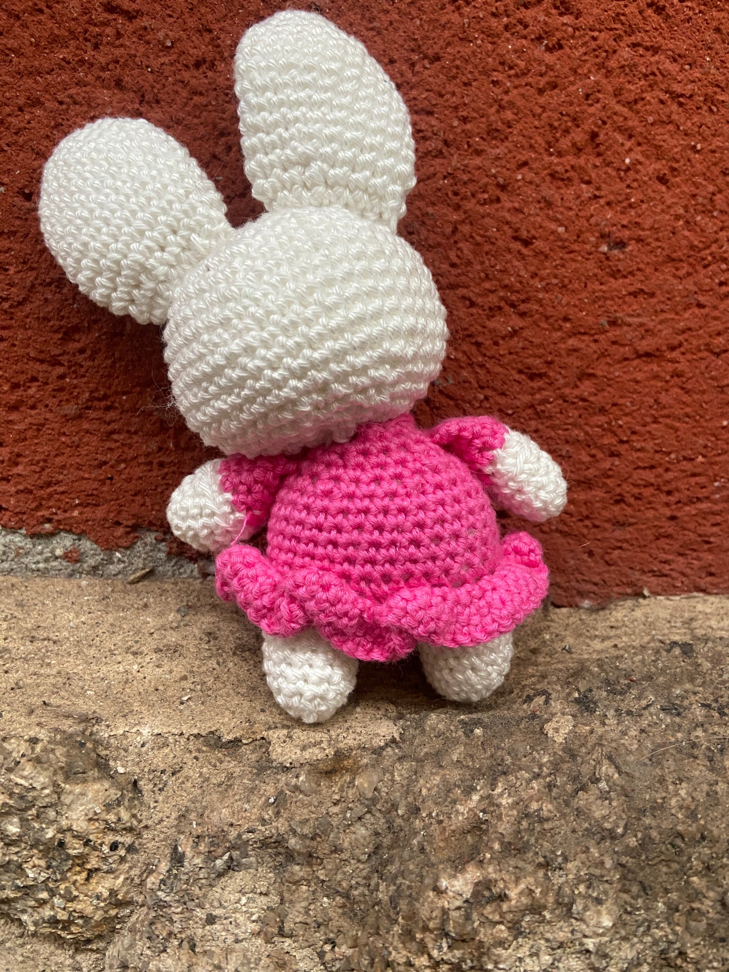 Jenny la liebre