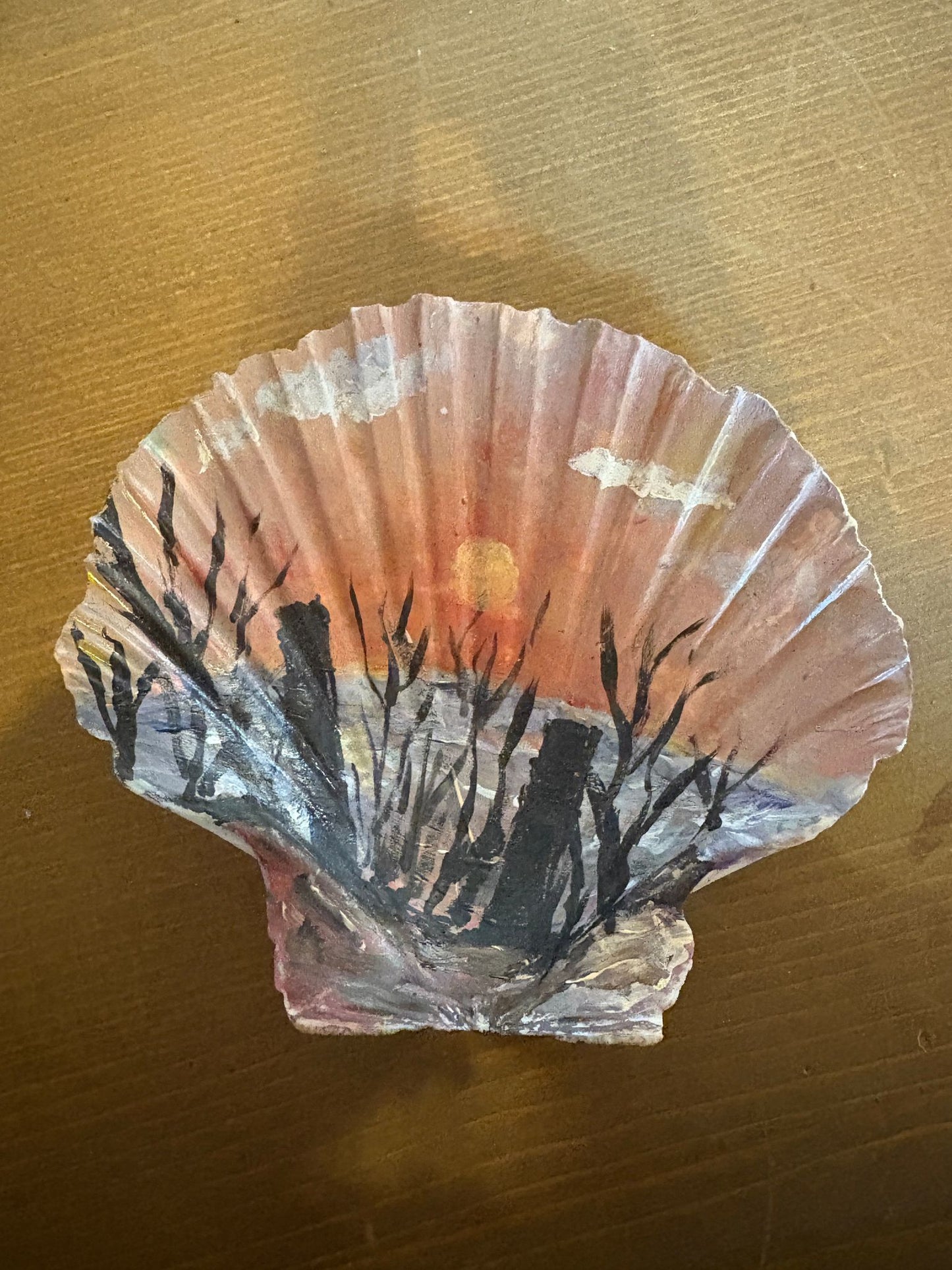 Conchas pintadas