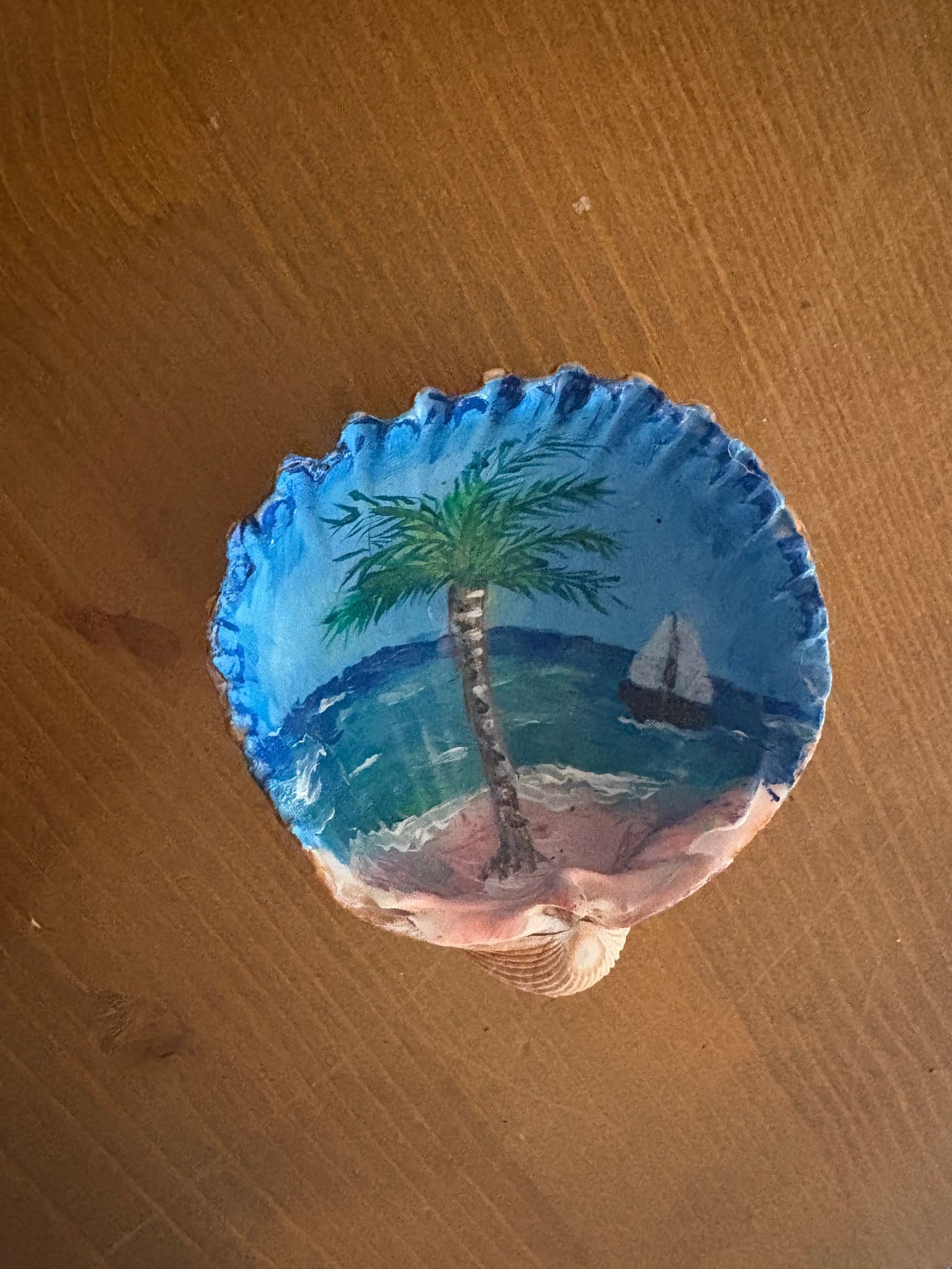 Conchas pintadas
