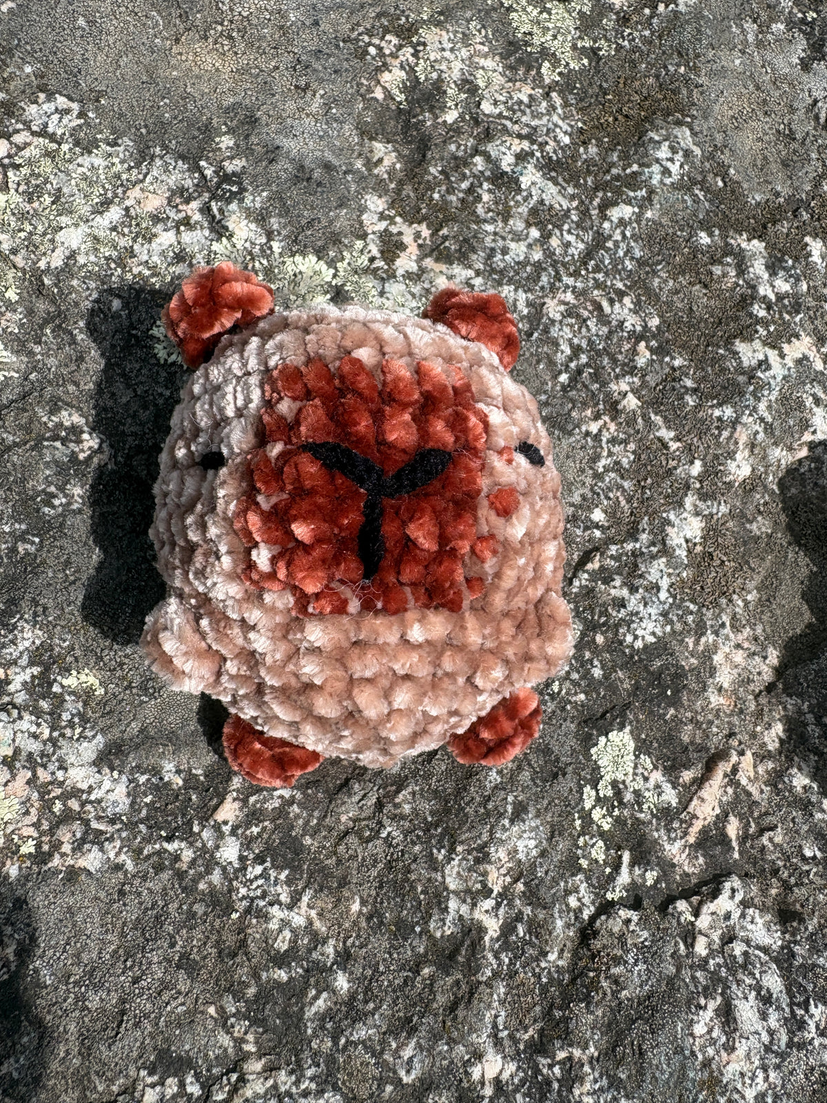 Capibara