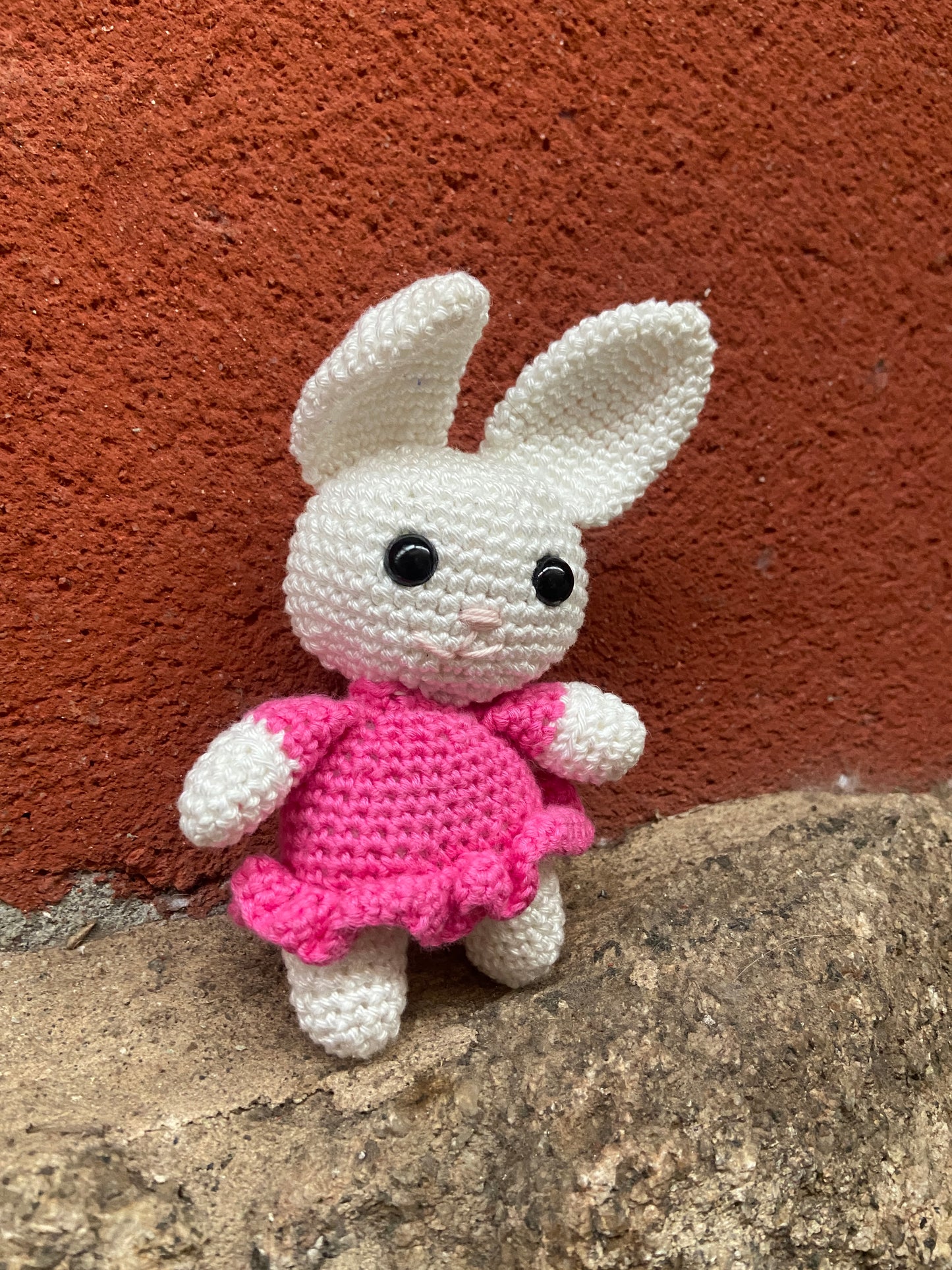 Jenny la liebre