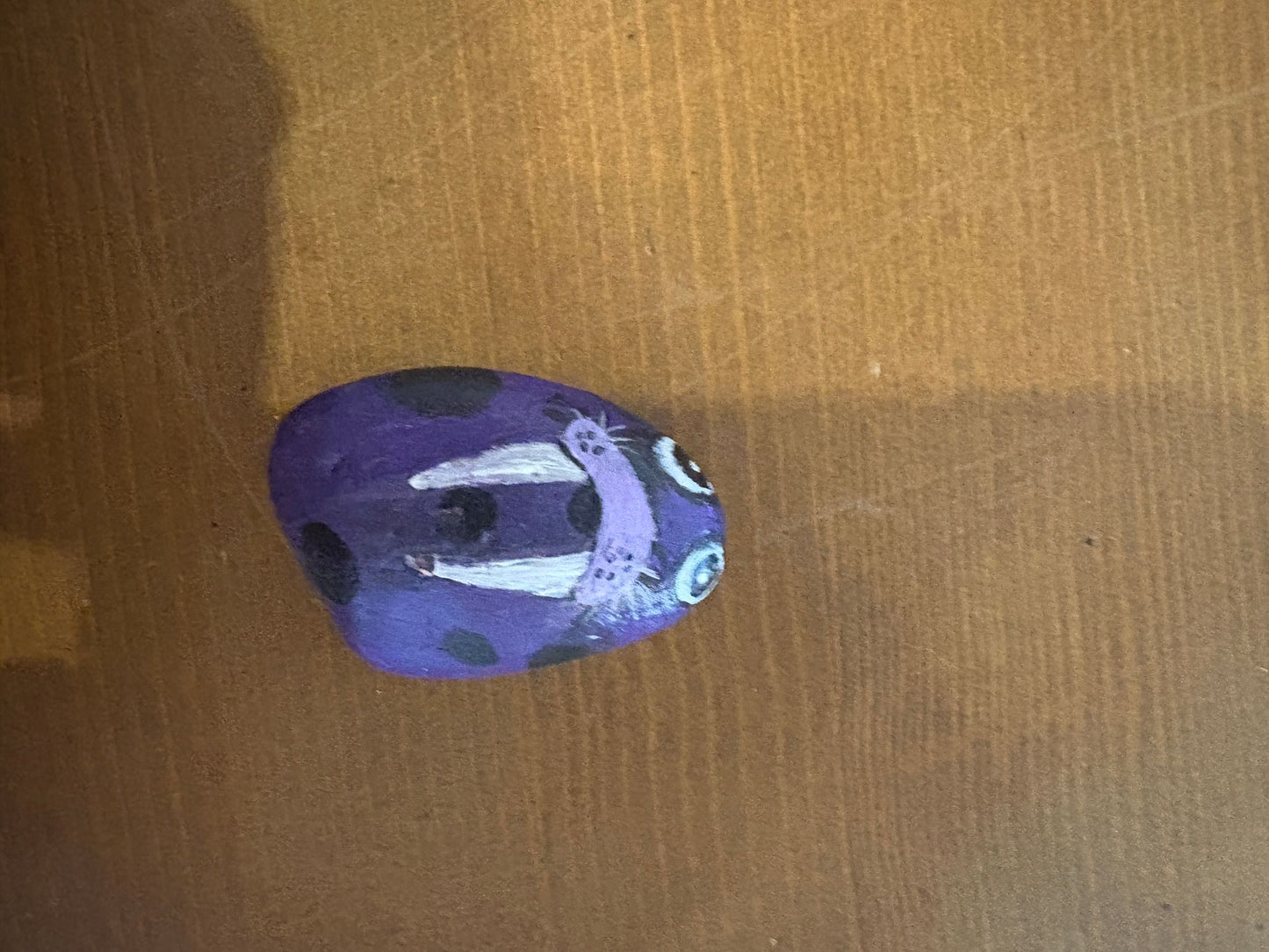 Piedras pintadas